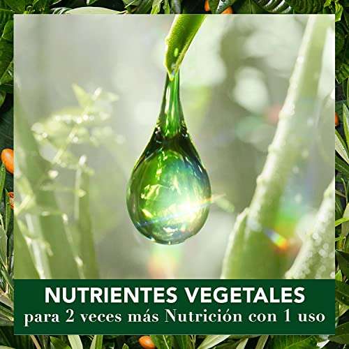 Herbal Essences bio:renew Champú Reparación, Aceite de Argán de Marruecos 400 ml, con ph neutro e ingredientes naturales