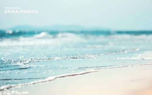 Mikado Ambientador ECO HAPPY 95ml. Con fragancia a brisa marina inspirada en el frescor del mar. Perfecto para cualquier estancia.