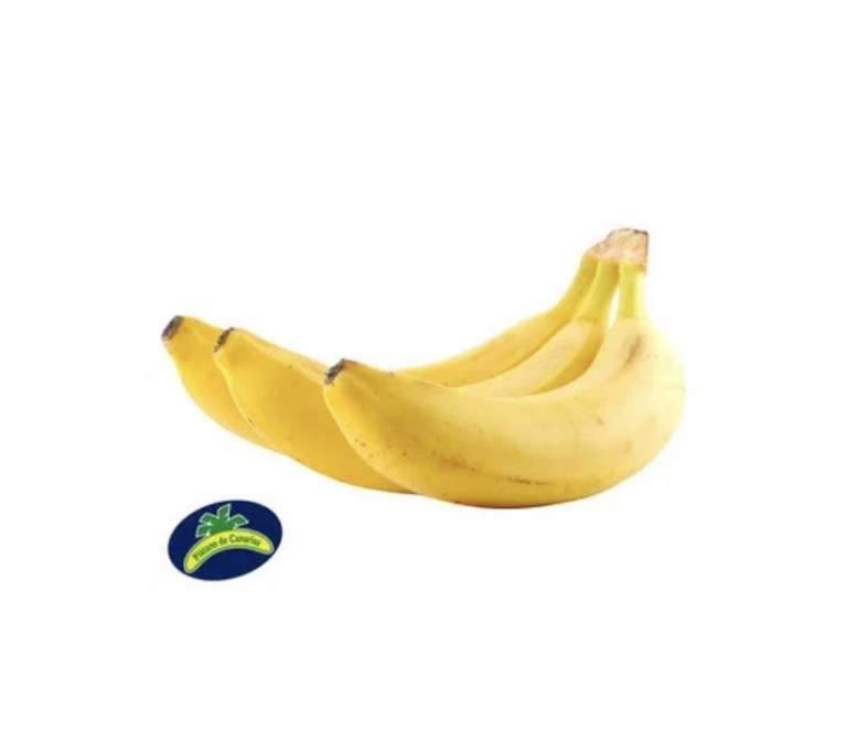 Plátano de Canarias - Moratalaz