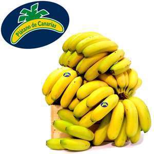 Plátanos de Canarias 1Kg