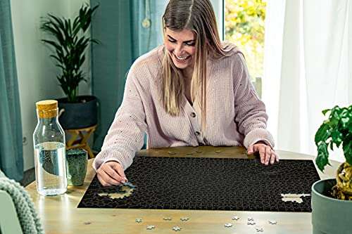 Ravensburger Puzzle de 736 Piezas, Krypt Black para Adultos, 70 x 50cm