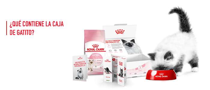 Gratis pack Royal Canin Kitten para gatos - Pedido min. 15€