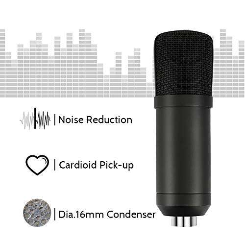 Micrófono XLR, Kit de micrófono de Condensador, Profesional, con Soporte de Mesa y Filtro de timbo