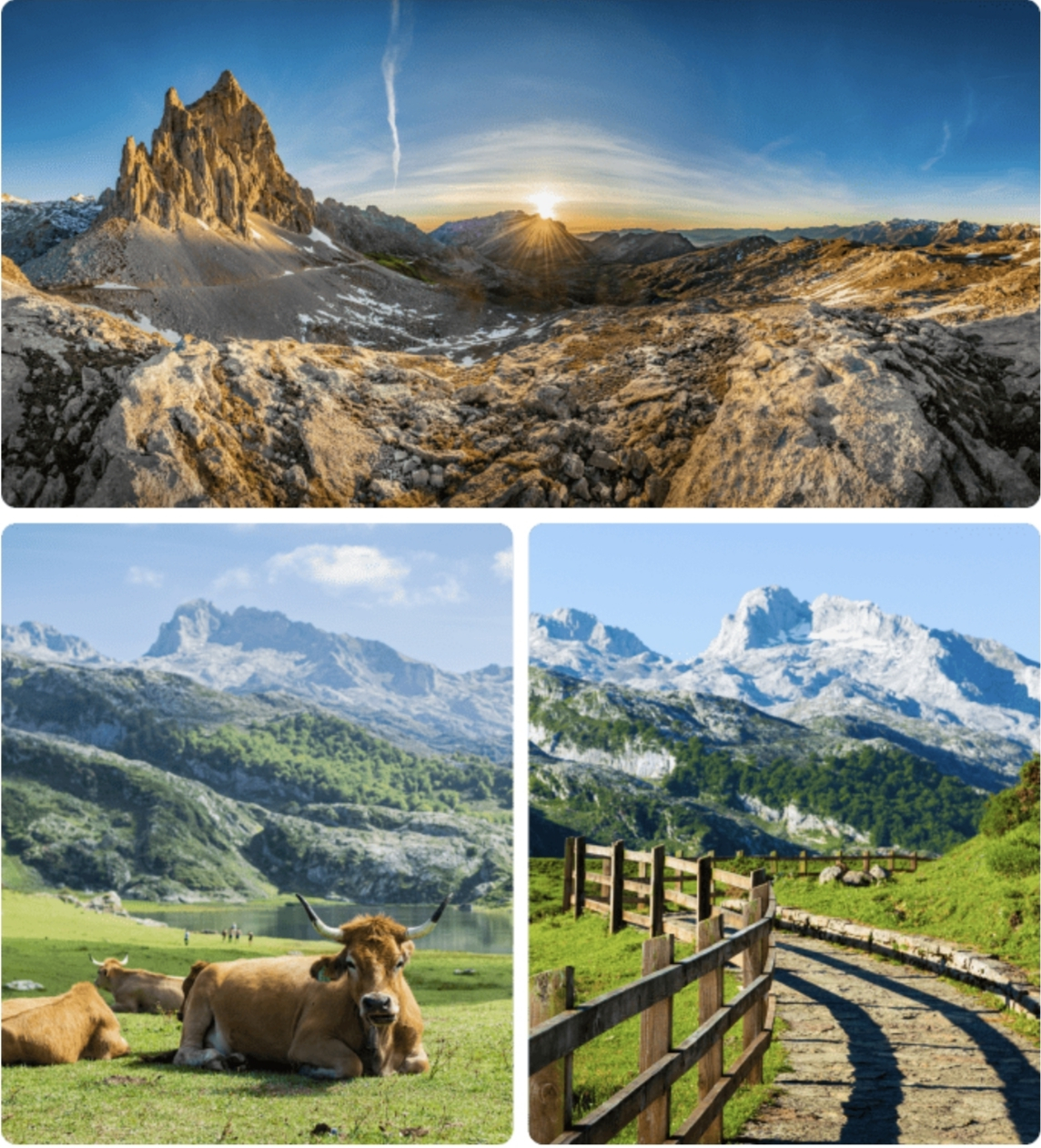 Saborea Cantabria! Escapada rural en Dobres Hotel + Desayuno + cata incluida Desde 35€ /Septiembre, Octubre.