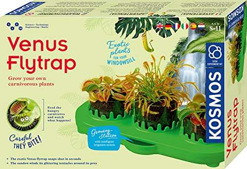 Venus Flytrap V1-kit de cultivo de plantas carnívoras.(trampa para moscas venosas, rocío solar, mimosa)