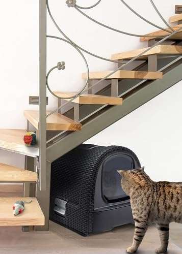 CURVER Arenero para gatos, bandeja sanitaria cerrada, compartimento inferior extraíble para facilitar la limpieza