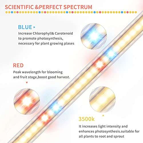 Lámpara LED para plantas, 3500 K, color rojo y azul, con espectro completo y temporizador, barra para plantas, 10 niveles regulables