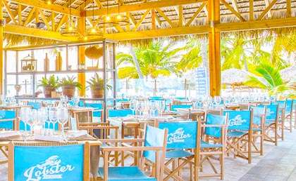 Viaje a Punta Cana - Hotel Sunscape Coco Punta Cana 5* - todo incluído 9 Días / 7 Noches - 648€ Por persona (Mayo 2024)