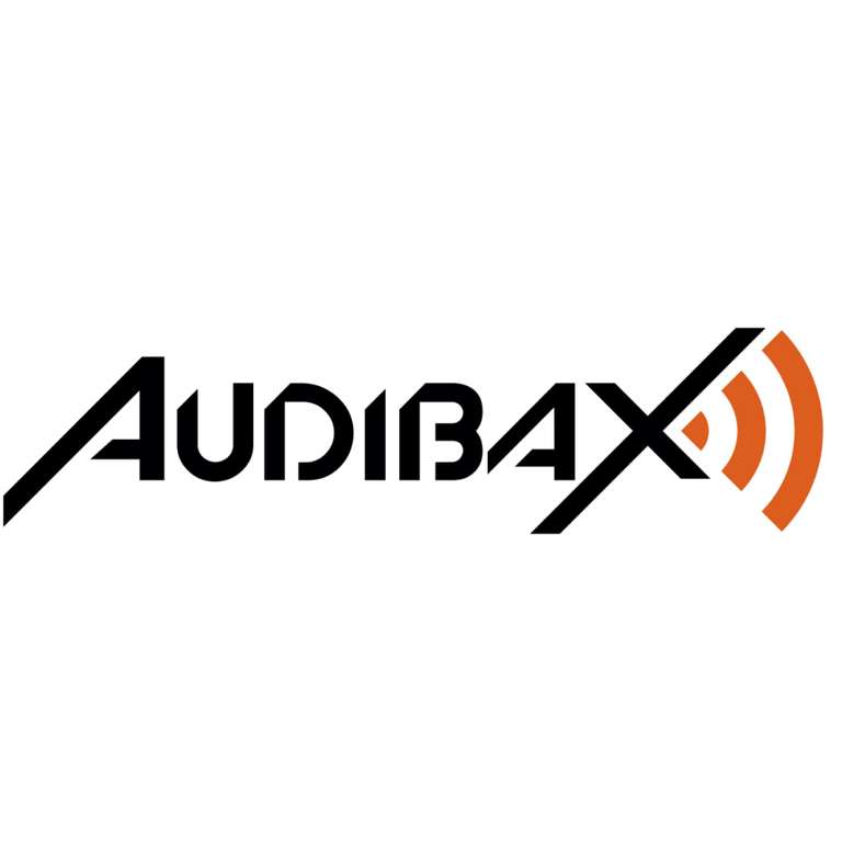 Audibax Arkansas 10 Bluetooth-Lautsprecher – 400 Watt, 10 Zoll, Mit USB, SD & Fernbedienung