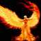 Avatar de phoenix333